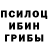 Псилоцибиновые грибы MAGIC MUSHROOMS Sasha Sasjon
