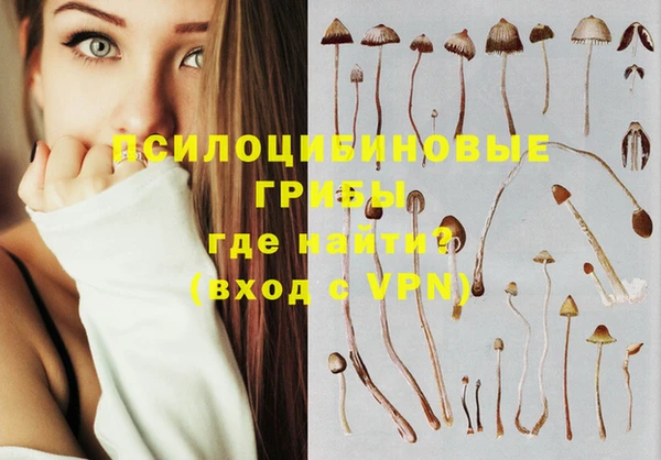 mdma Гусиноозёрск