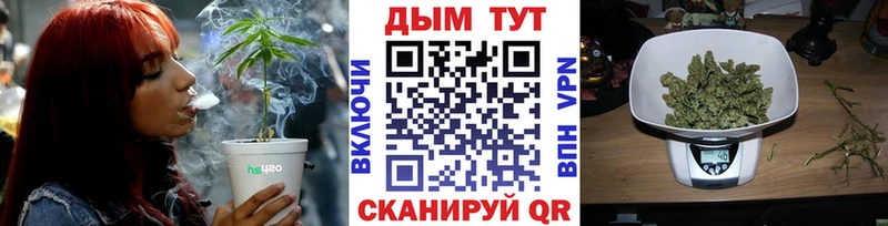 купить закладку  Нея  Бошки Шишки марихуана 